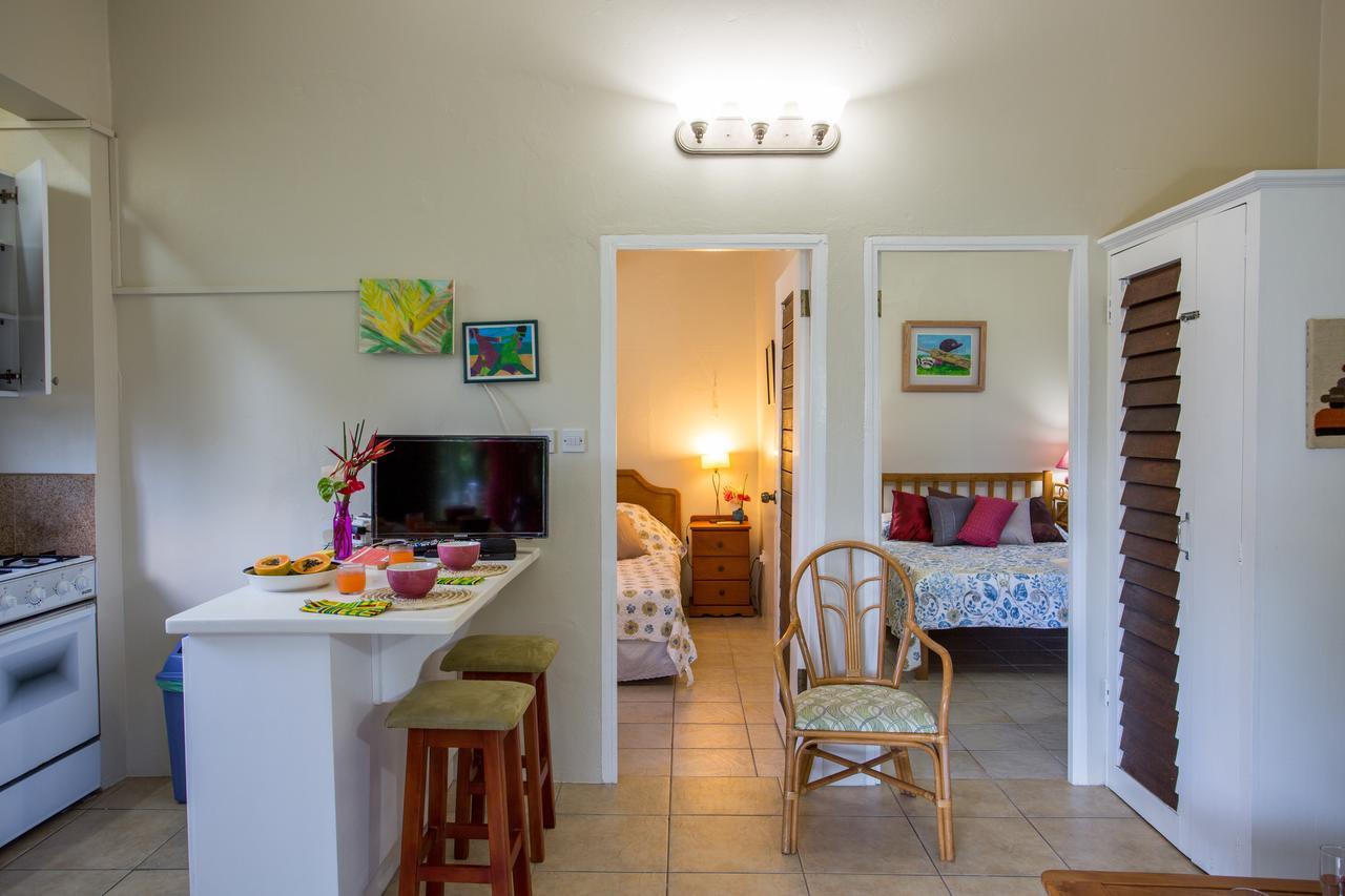 Smithy'S Eco-Apartment Morne Jaloux Ridge Buitenkant foto