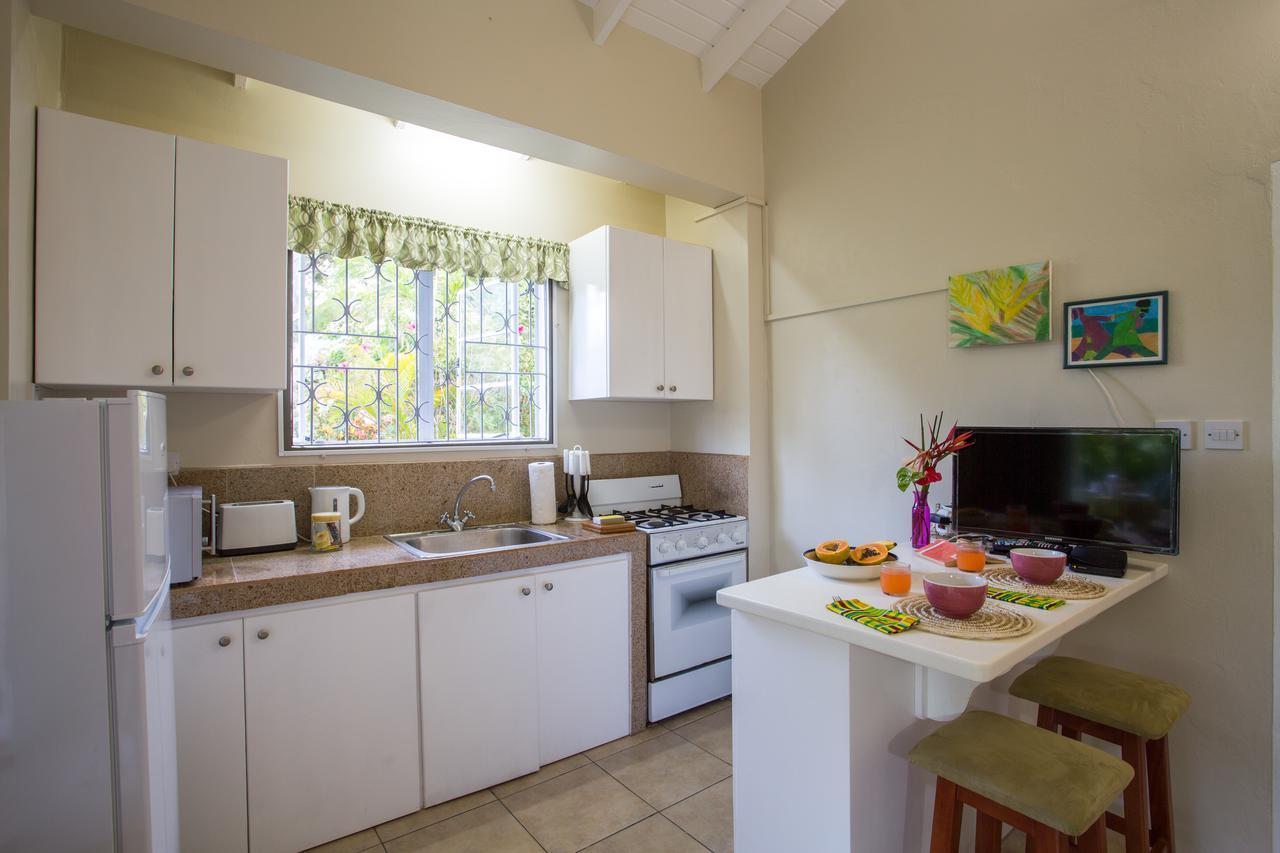 Smithy'S Eco-Apartment Morne Jaloux Ridge Buitenkant foto